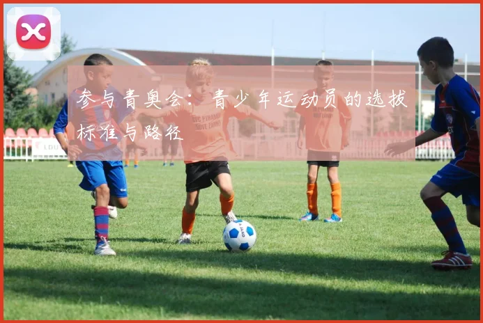参与青奥会：青少年运动员的选拔标准与路径